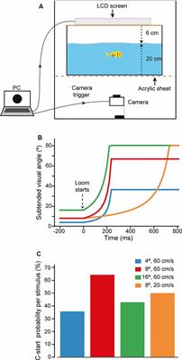 Stimulus Contrast Information Modulates Sensorimotor Decision Making in Goldfish